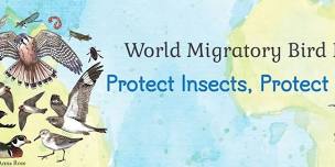 World Migratory Bird Day Celebration