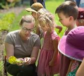 Insect Safari for Kids