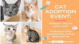 CAT ADOPTION EVENT!