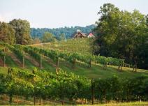 Tasting Appointments - Addison Farms Vineyard — Farm Heritage Trail