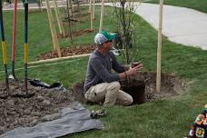 Riverton's Arbor Day Tree Planting Workshop 2024