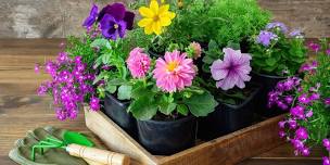 Paint a Flower Pot & Plant Wildflower Seeds