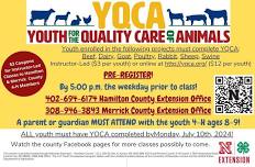 Instructor-Led YQCA hosted by Homesteaders 4-H Club