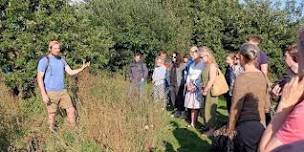 FORAGE & NIBBLE near Ambleside