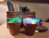 Lit Sea Glass Succulents/Trees at Tucker's Restaurant in Southwick MA - Tuesday June 27th 6pm-8pm