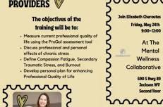 PROFESSIONAL QUALITY OF LIFE FOR MENTAL WELLNESS PROVIDERS