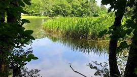 Nature Journaling at Agawam River Trail (Wareham)