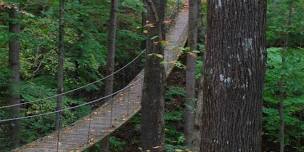 Swinging Bridge Trail Run