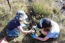 Small community planting in Luggate