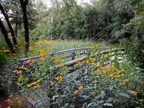 Walk at Heckrodt Wetland Preserve