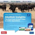 ABATTOIR INSIGHTS : The real cost of LiverFluke in Cattle Operations