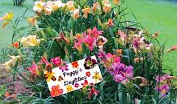 Peggy’s Daylilies at Smyrna Handmade Market