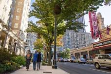 Tree Tour: Trees of Midtown