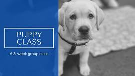 Puppy Class