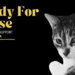 Comedy For A Cause (and a Cat) - Hosted By Vanessa Allen