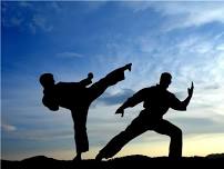 Martial Arts for Adults