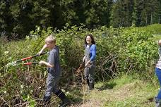 Kristoferson Creek Weed Removal | Volunteer work party at Kristoferson Farm