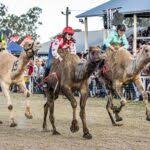 Tara Festival of Culture and Camel Races