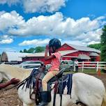 June Horsemanship Clinic