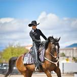 The Angel Bea Thelma Silver State Western Dressaage & Hope 4 Hooves Show