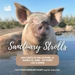 Sanctuary Strolls - June 9, 2024 — Iowa Farm Sanctuary