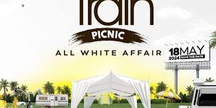 SoulTrain Deluxe Picnic