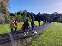 May Community Walk - Christchurch