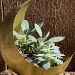 Strawberry Moon Succulent Planter