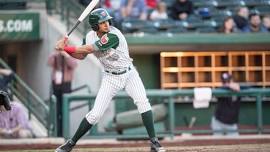 Fort Wayne TinCaps Baseball