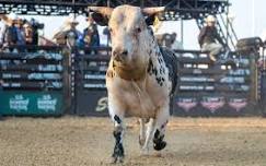 PBR Ocean City Classic