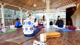 Yoga Teacher Training in India