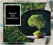 Bonsai Bar Workshop