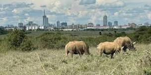 A day In Nairobi National Park