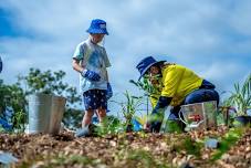 National Tree Day Community Planting 2024