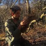 Wild Britain at Hamsteley Forest