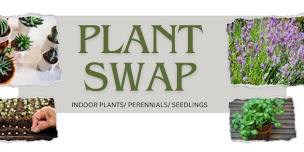 Plant Swap   ☘️