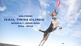 Milford Nail Trim Clinic