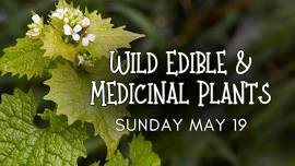 Wild Edible and Medicinal Plants: Guided Nature Hike