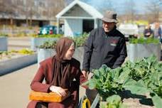 Community Gardening Sessions