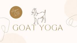 Goat Yoga