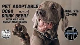 Pet Adoptable Dogs & Drink Beer at Living The Dream Highlands Ranch