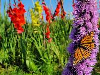 Flower Arranging Class at Ann River Winery & Vineyard