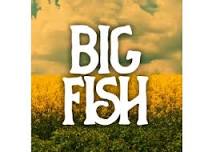 Big Fish The Musical