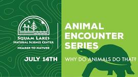 Animal Encounter Series: Why Do Animals Do That?