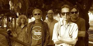 The Feelies