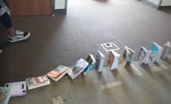 Book Dominoes