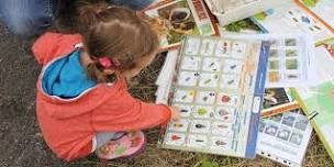 Miraculous minibeasts at Hickling Broad