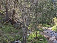 Dry Run Hike at Deer Creek Canyon