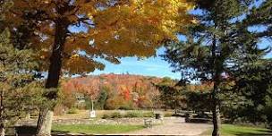 Mountain Top Arboretum Tour