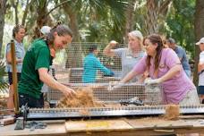 Volunteer Opportunity:  Oyster Reef Restoration